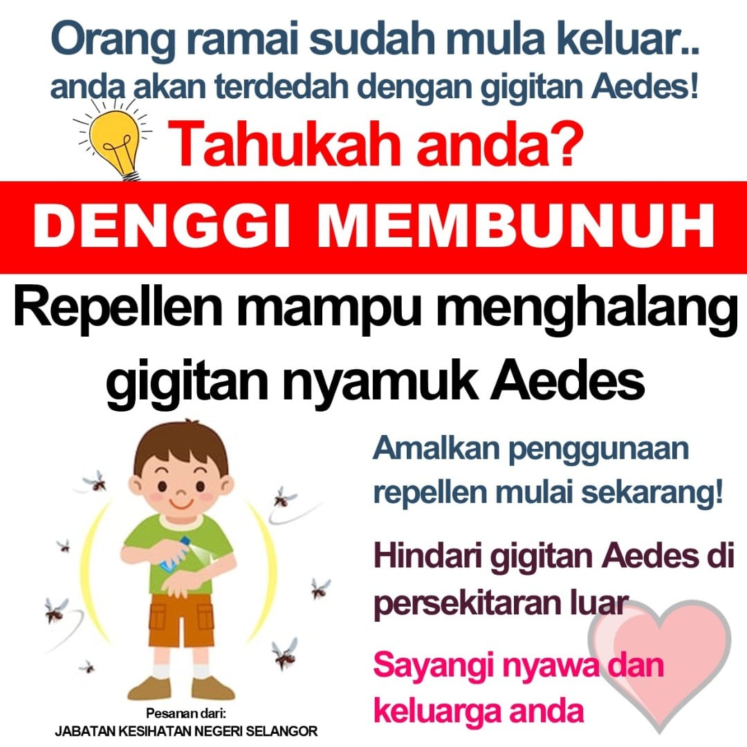 selasa denggi